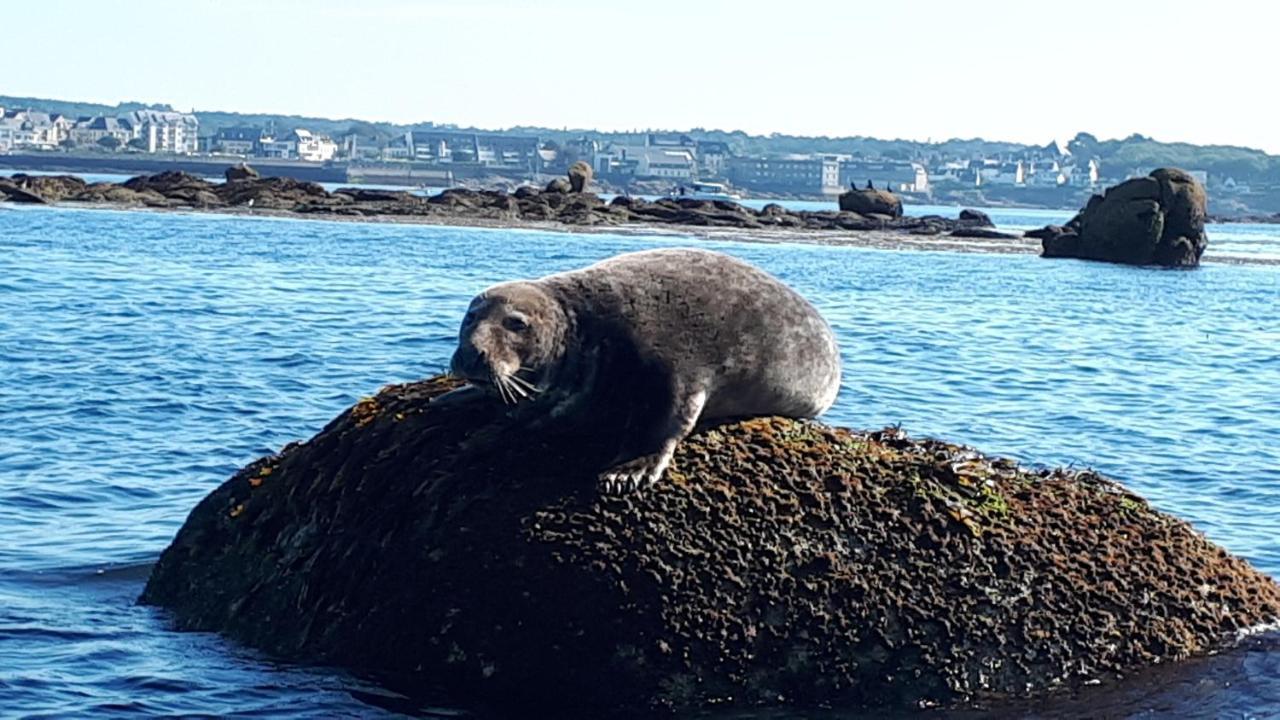 Studio Face A La Mer Concarneau Exterior foto